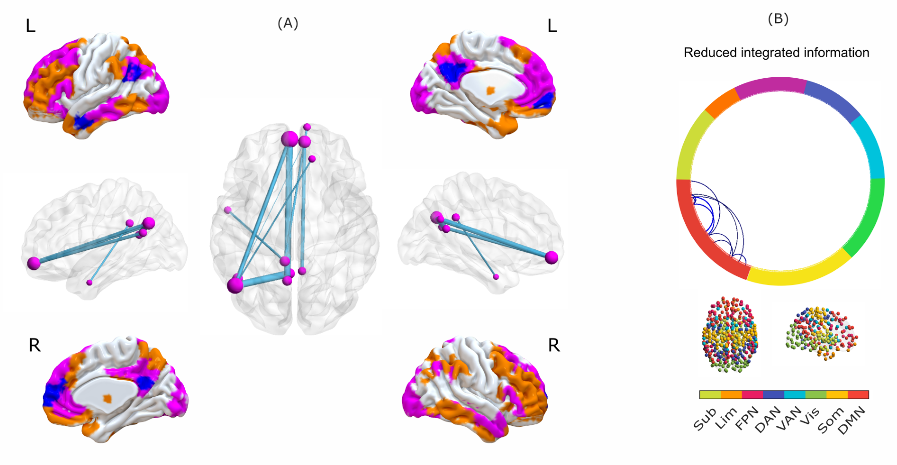 A Synergistic Workspace for Human Consciousness Revealed by Integrated  Information Decomposition