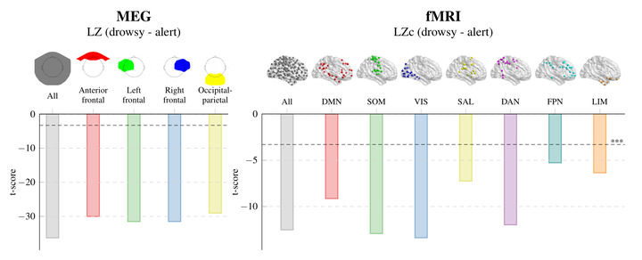 A Synergistic Workspace for Human Consciousness Revealed by Integrated  Information Decomposition